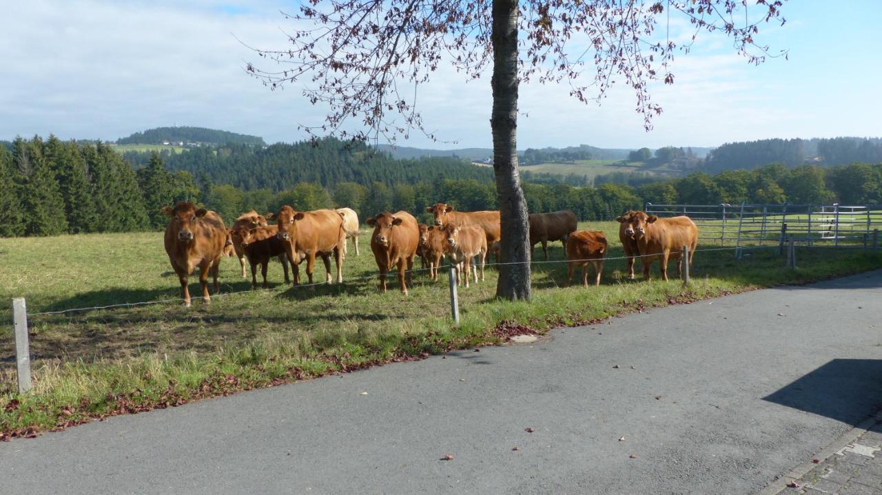 Aussichtsbauernhofpension Hof Gretchens Winterberg Exteriör bild