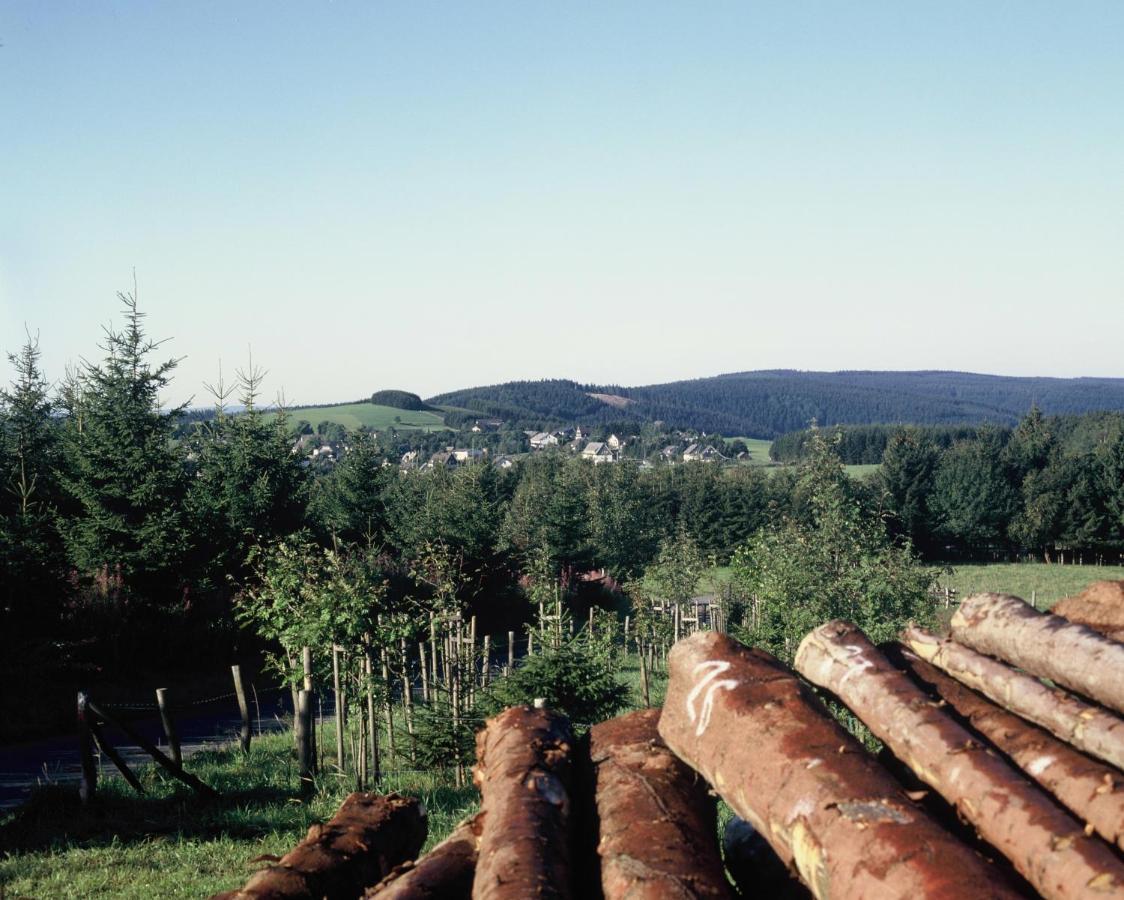 Aussichtsbauernhofpension Hof Gretchens Winterberg Exteriör bild