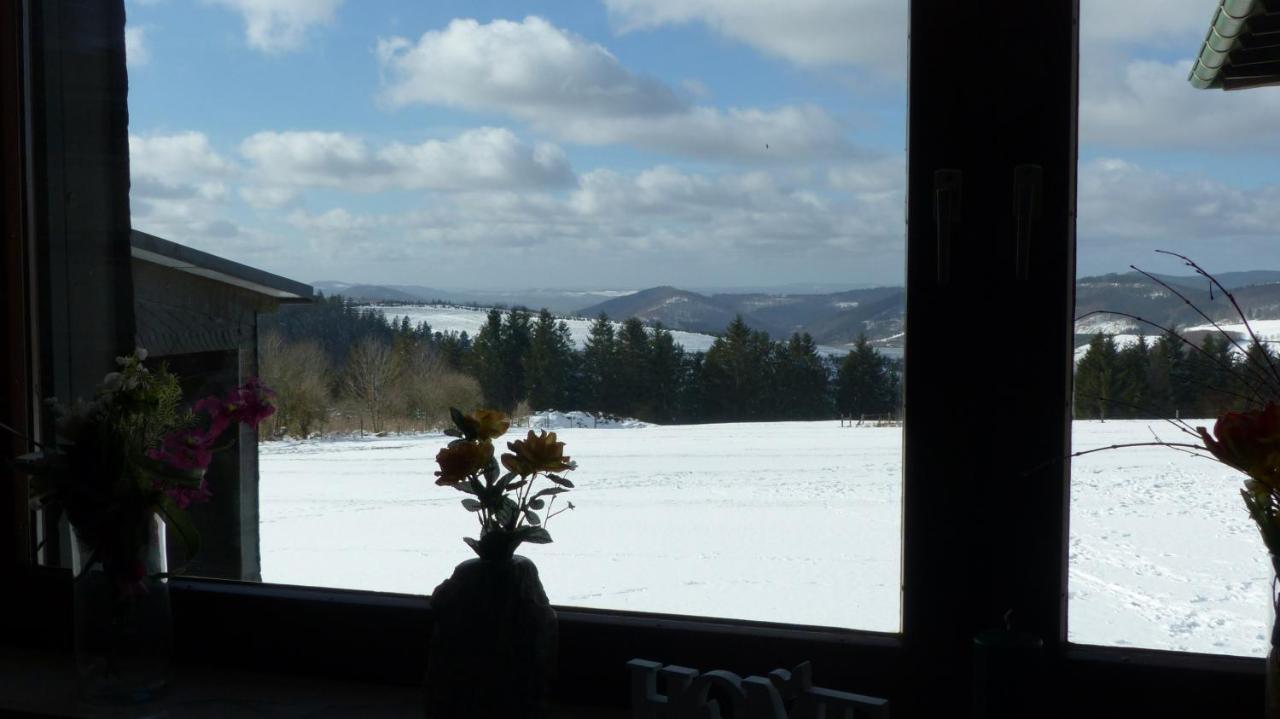Aussichtsbauernhofpension Hof Gretchens Winterberg Exteriör bild