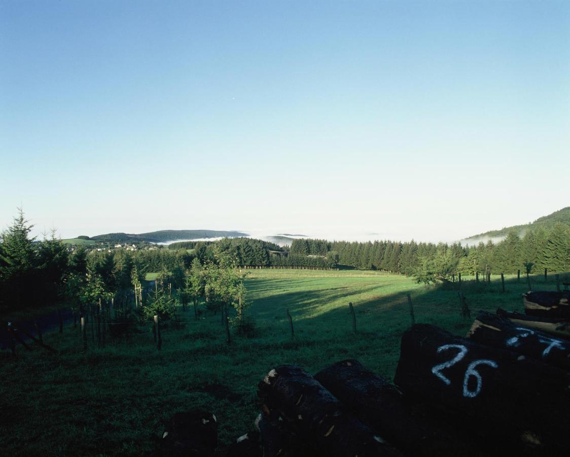 Aussichtsbauernhofpension Hof Gretchens Winterberg Exteriör bild
