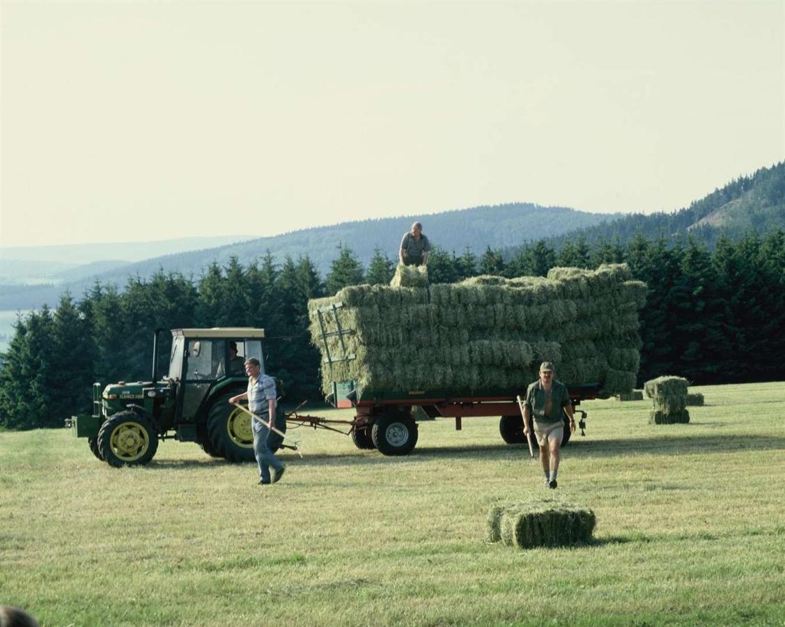 Aussichtsbauernhofpension Hof Gretchens Winterberg Exteriör bild