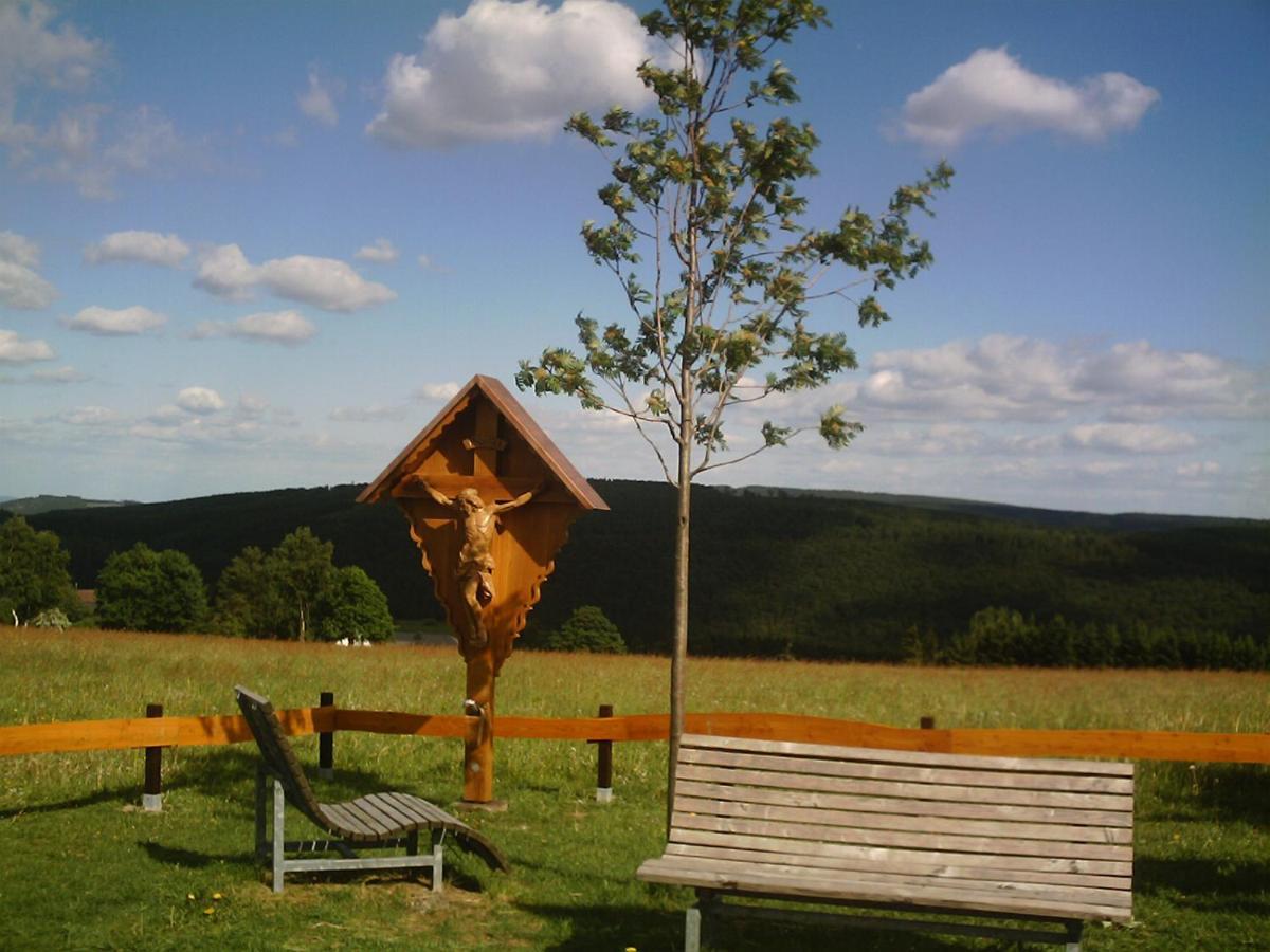 Aussichtsbauernhofpension Hof Gretchens Winterberg Exteriör bild