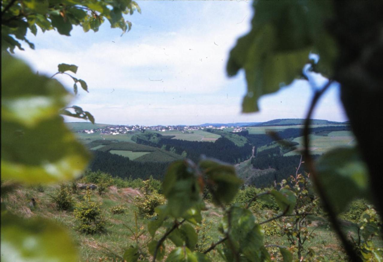 Aussichtsbauernhofpension Hof Gretchens Winterberg Exteriör bild